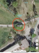 Foto: Baumschnitt erforderlich  