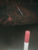 Foto: Wiederherstellung eines wirksamen Modalfilters im Schwarzen Weg 