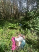 Foto: Müllabfuhr im Waldtstück 