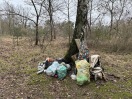 Foto: Wilde Deponie 