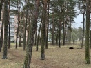 Foto: Wilde Deponie - Sofa/Bett? 