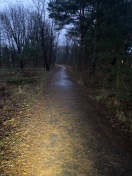 Foto: Radweg nicht vom Laub gefreit 