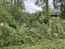 Foto: Ast abgebrochen und Zaun beschädigt 