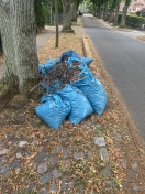 Foto: Laubsäcke liegen seid 1 Monat 