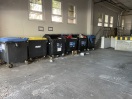 Foto: Ratten, Müll / Abfall  