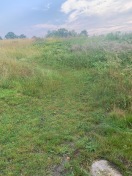 Foto: erhöhte Zeckengefahr bei der Nutzung der Gehwege durch viel zu hohes Gras. 