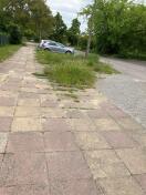 Foto: Zugewachsene Flächen in der Berner Straße 