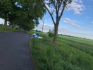 Foto: Abfallablagerung zwischen Löwenbruch und Weinberg 