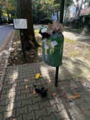 Foto: Mülleimer an der Bushaltestelle nicht geleert 