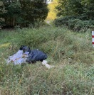 Foto: Müllbeutel 