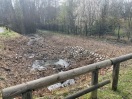 Foto: Beseitigung von Brombeeren im Naturschutzgebiet 