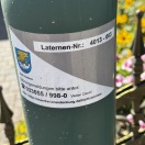 Foto: Laterne 