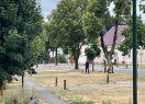 Foto: Mähen 