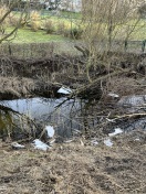 Foto: Folie im Wassergraben  