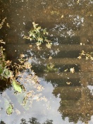 Foto: Gullys verstopft 