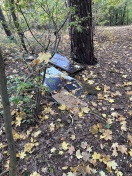 Foto: Müll am Friedensteich ca 100 m  (vom Gehrenweg)  