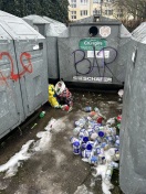 Foto: Überfüllte Glascontainer 