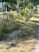 Foto: Grünstreifen 