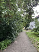 Foto: Gehweg zugewachsen  