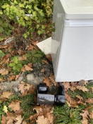 Foto: Ich fasses nicht! 