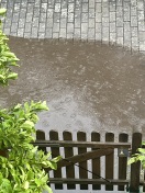Foto: Gulli verstopft 