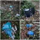 Foto: Wilde Müllhalde in den Büschen im Bereich Einmündung Werderstr./Bauhofstr.  