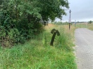 Foto: erhöhte Zeckengefahr bei der Nutzung der Gehwege durch viel zu hohes Gras. 