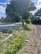Foto: Müll am Straßenrand 