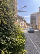 Foto: Gehweg wuchert mit Grünzeug zu 