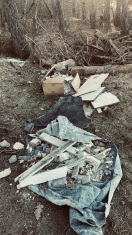 Foto: Wilde Abfallentsorgung  
