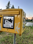 Foto: Briefkasten beschmiert 