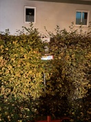 Foto: Löschwasserentnahmestelle Brunnen 