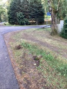 Foto: Begrenzungen vor Regenwassermulden umgefahren  