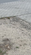 Foto: Zerbrochene Bierflaschen auf dem Weg / Einfahrt zum DRK 