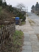 Foto: Beschnitt Bäume & Sträucher 