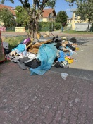 Foto: wilde Deponie 