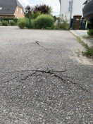 Foto: Asphaltschaden  
