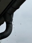 Foto: Dachrinne undicht  