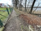 Foto: Biberschaden Baum auf dem Weg 