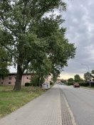 Foto: Lose Äste  