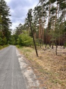 Foto: Telefonmast abgeknickt  