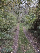 Foto: Weg nicht begehbar - Sturmschäden 