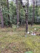 Foto: Mehrere Farbeimer im Wald entsorgt 