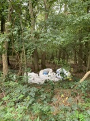 Foto: Müll im Wald  