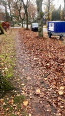 Foto: Keine Mahd und Laubentsorgung Schönow 