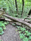 Foto: Blockierter Wanderweg  
