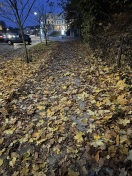 Foto: Herbst 