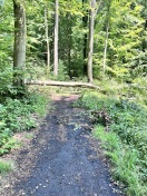 Foto: Blockierter Wanderweg  