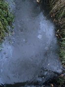 Foto: Ölfilm auf Regenwasser-Sammelpunkt  