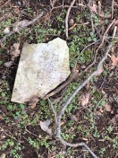 Foto: Vandalismus durch Rodung Südfriedhof 